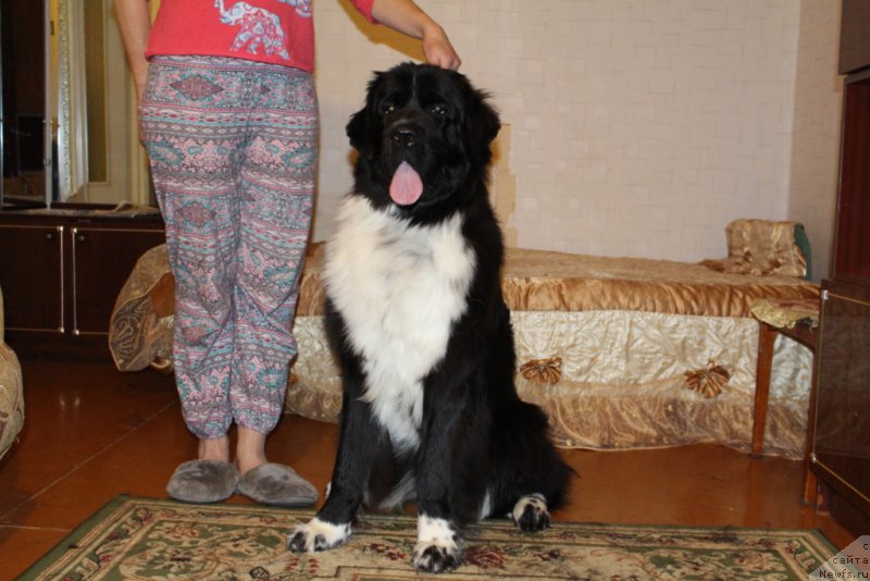 Фотография № 195986