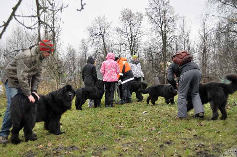 Фотография № 196017