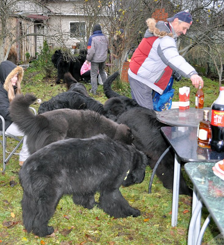 Фотография № 196018