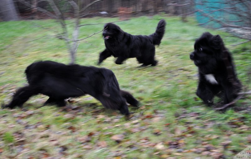 Фотография № 196022