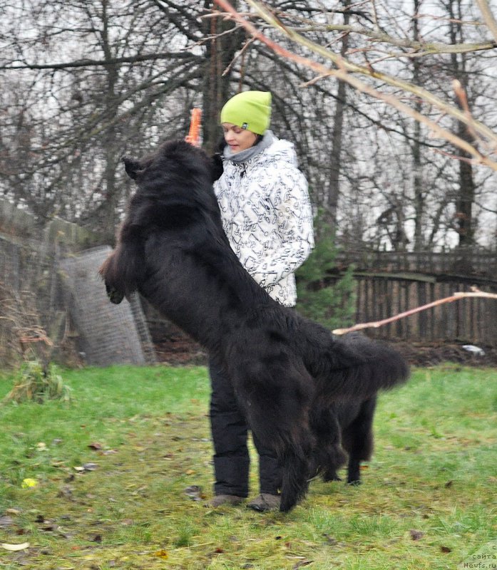 Фотография № 196027