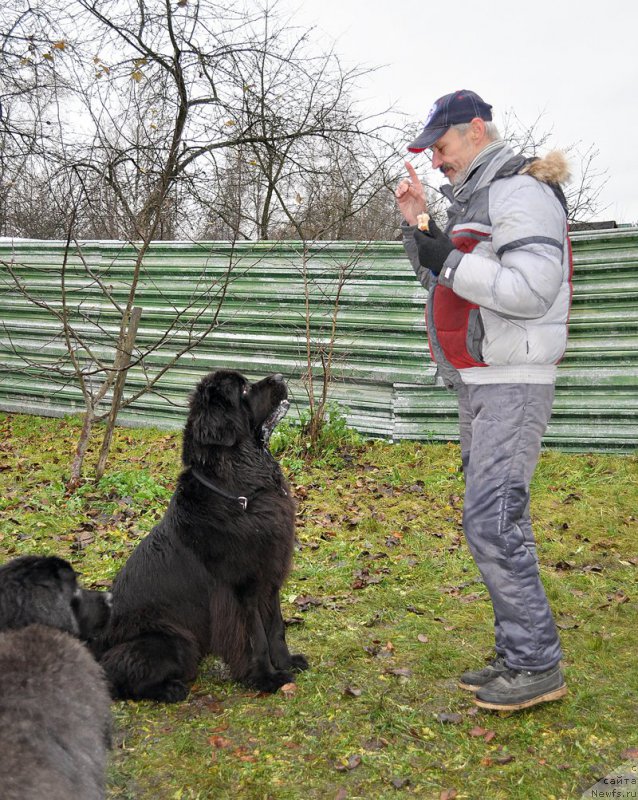 Фотография № 196028