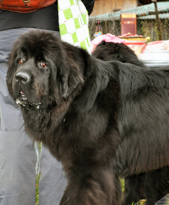 Фотография № 196029