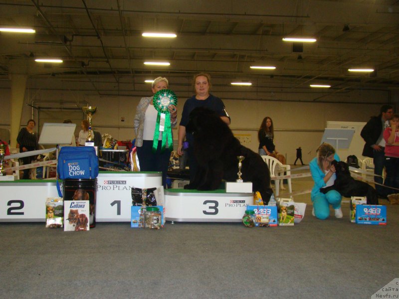 Фотография № 196047