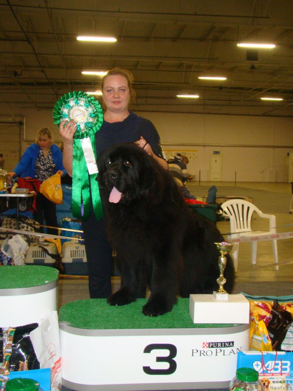 Фотография № 196050