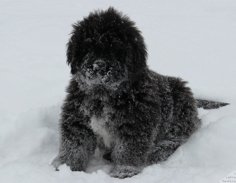 Фотография № 196056