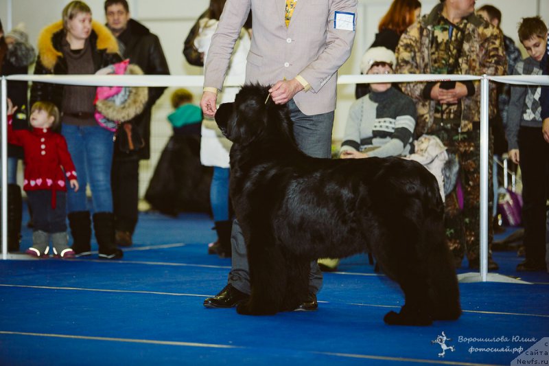 Фотография № 196069