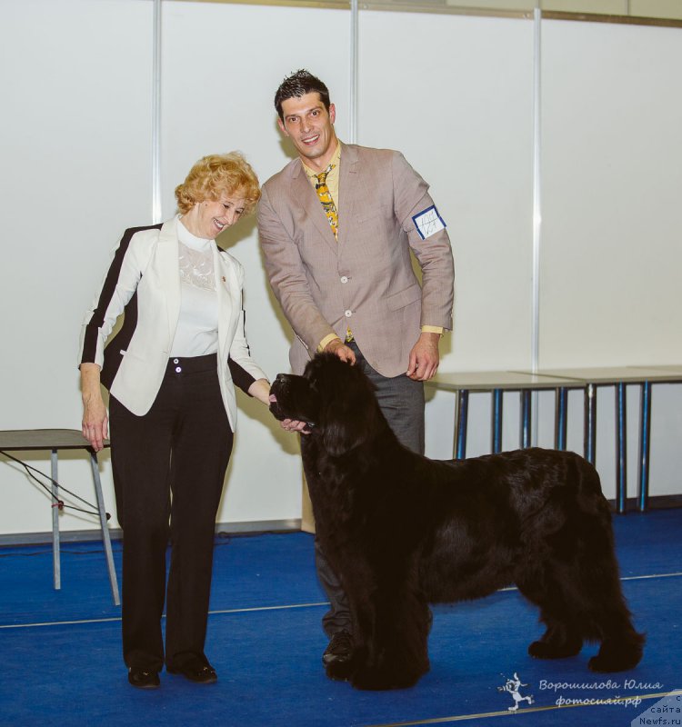 Фотография № 196071