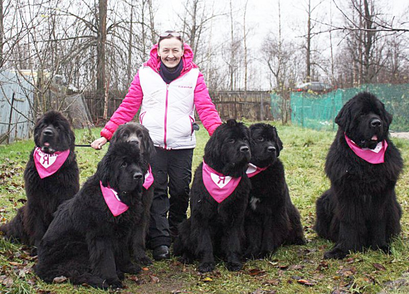 Фотография № 196072