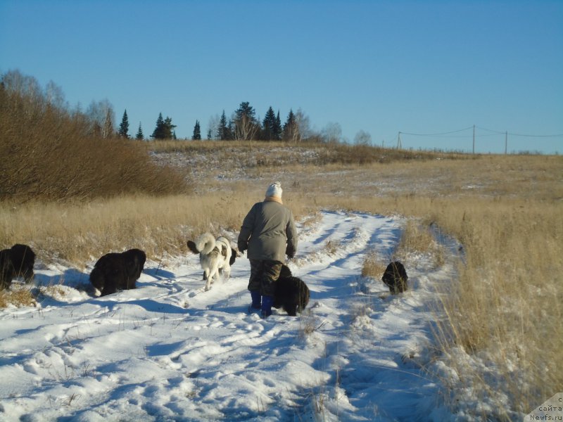 Фотография № 196086