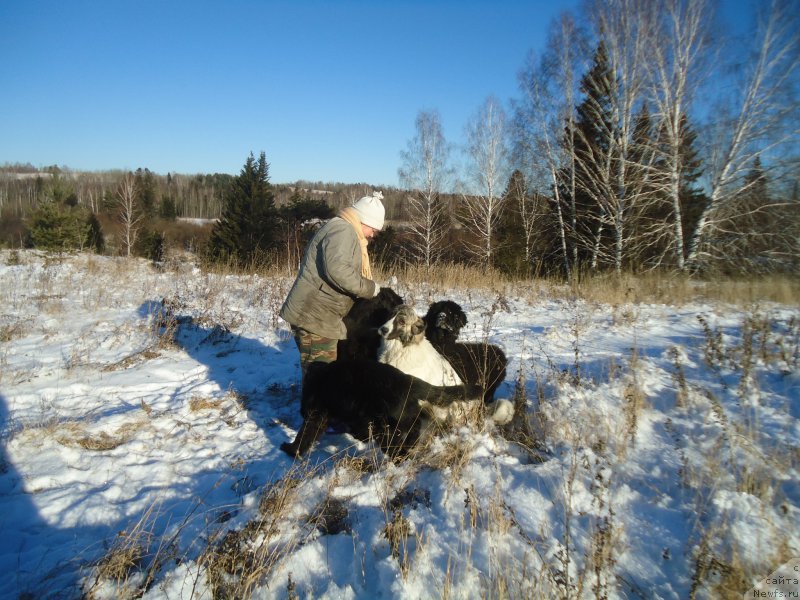 Фотография № 196098