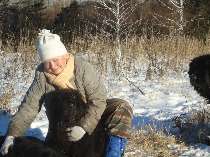 Фотография № 196101