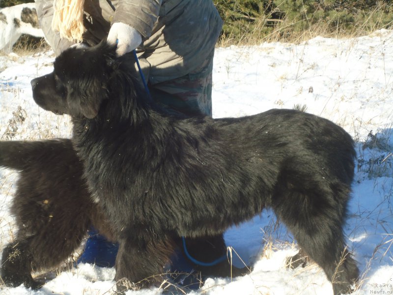 Фотография № 196105