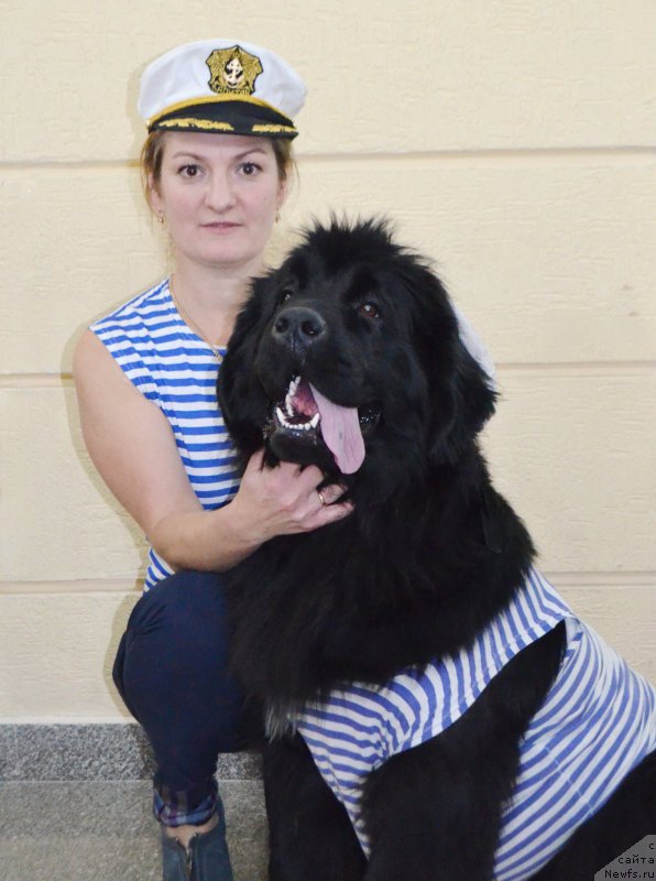 Фото: ньюфаундленд Кара Аюлар Единственная Красотка, Таня