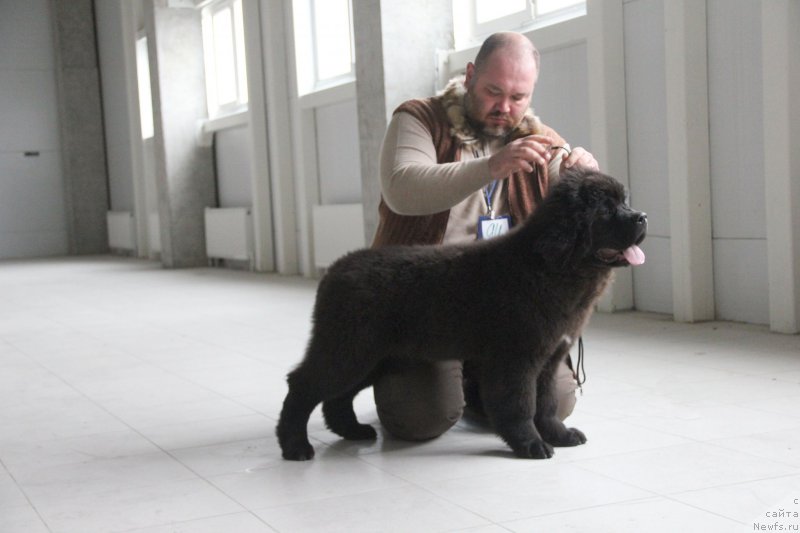 Фотография № 196187