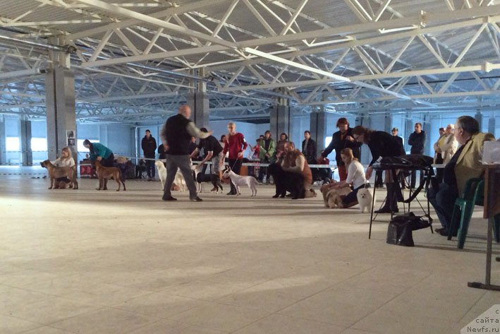 Фотография № 196188