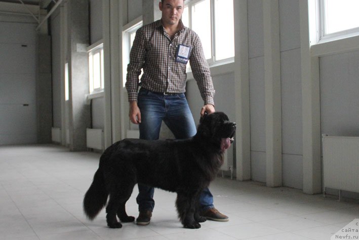 Фотография № 196189