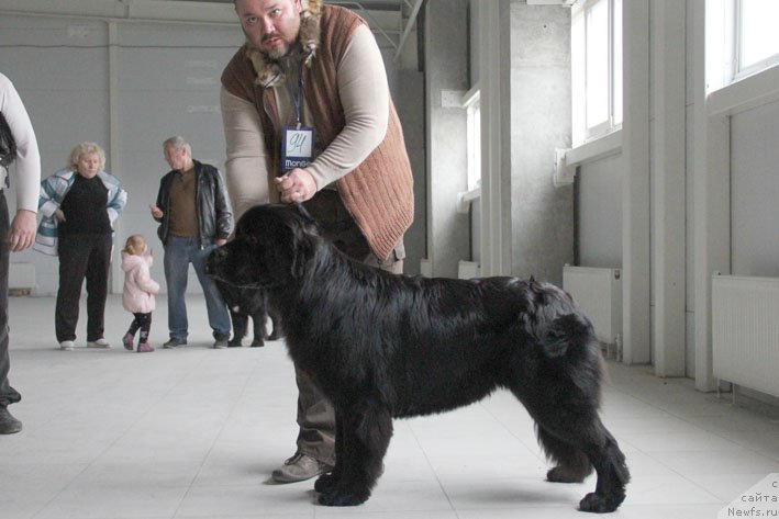 Фотография № 196191