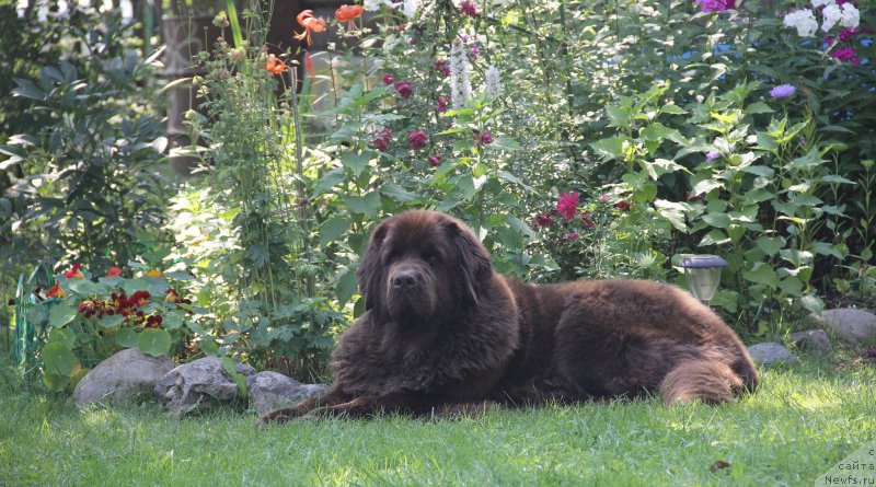 Фотография № 196196