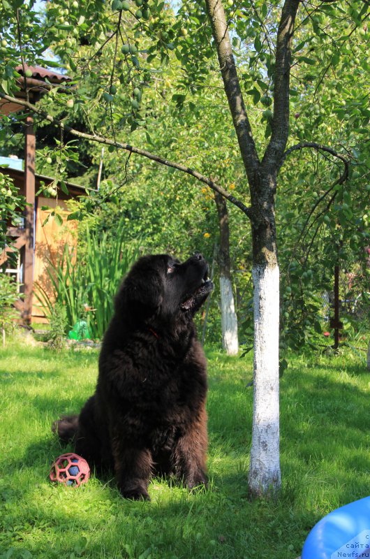 Фотография № 196198