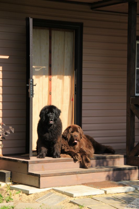 Фотография № 196204