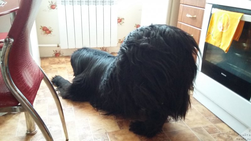 Фотография № 196261