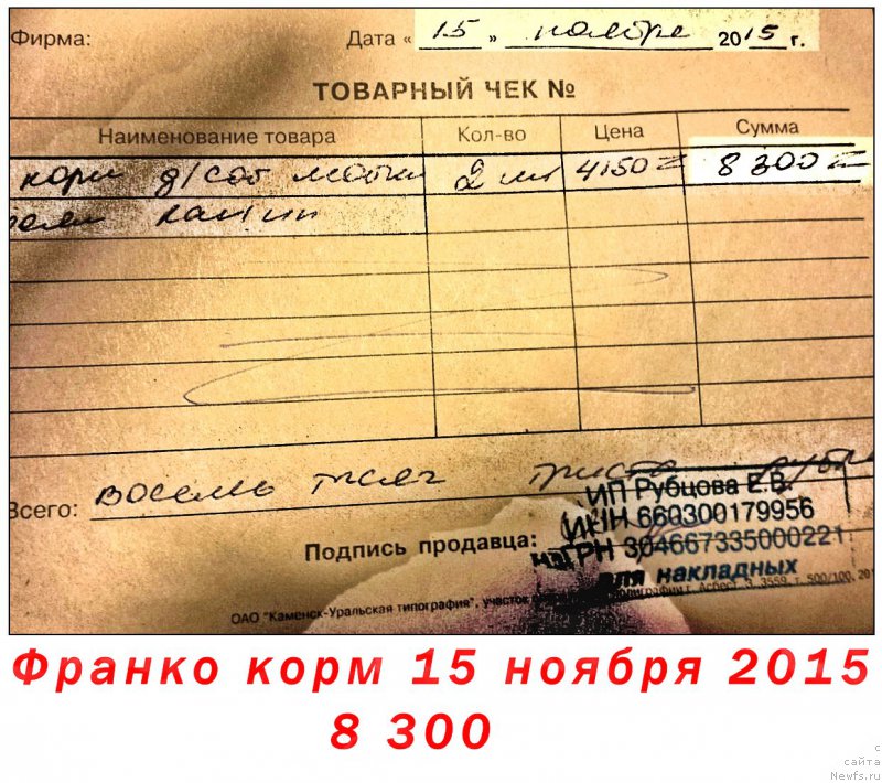 Фотография № 196281