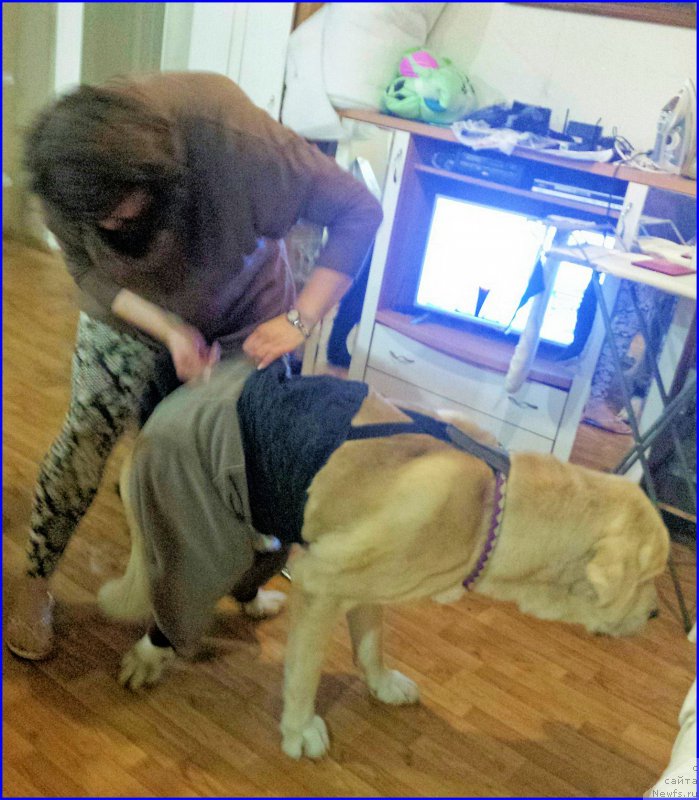 Фотография № 196287