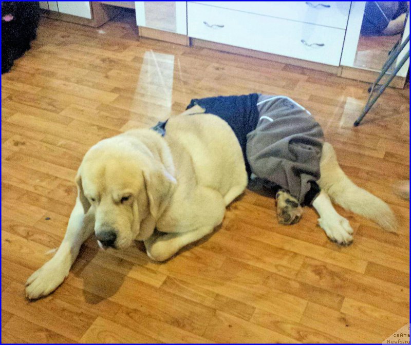 Фотография № 196293