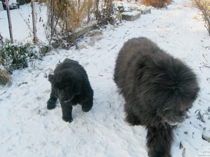 Фотография № 196311