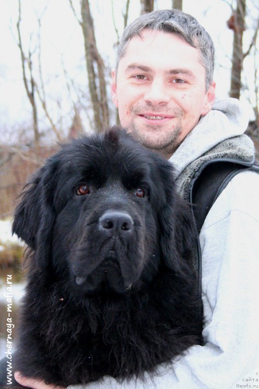 Фотография № 196326