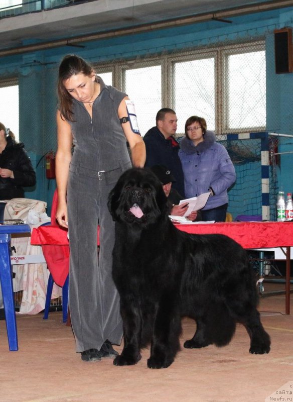 Фотография № 196335