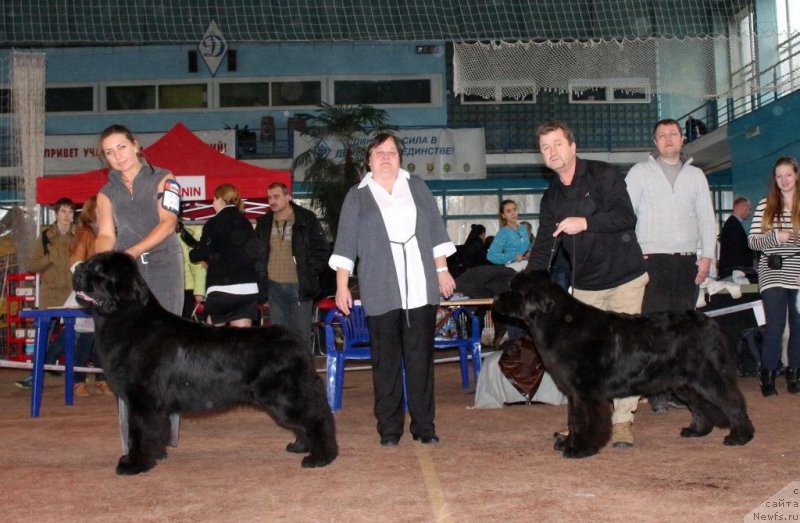 Фотография № 196338