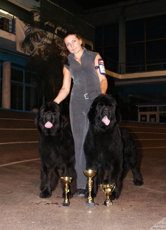 Фотография № 196339