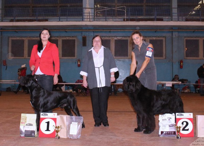 Фотография № 196341