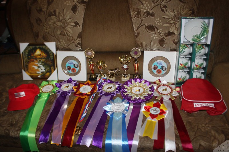 Фотография № 196342