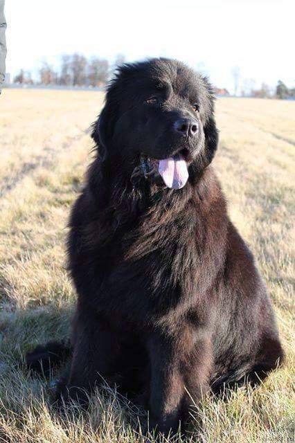 Фотография № 196346