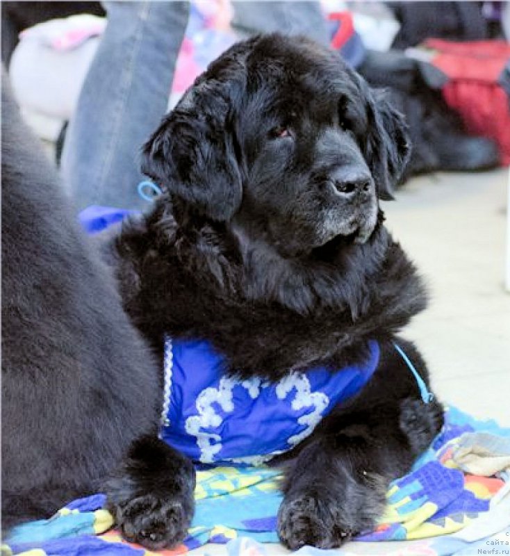 Фотография № 196368