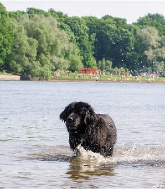 Фотография № 196370