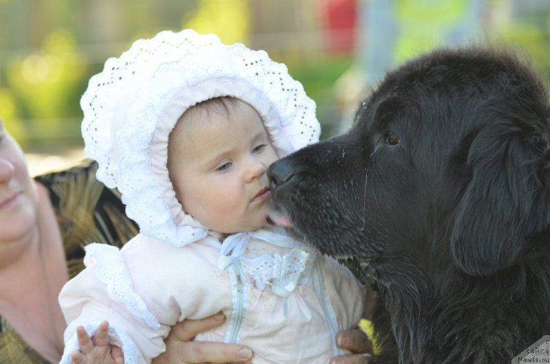 Фотография № 196371