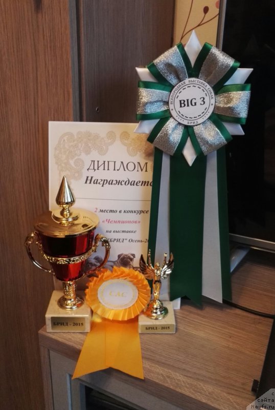 Фотография № 196372