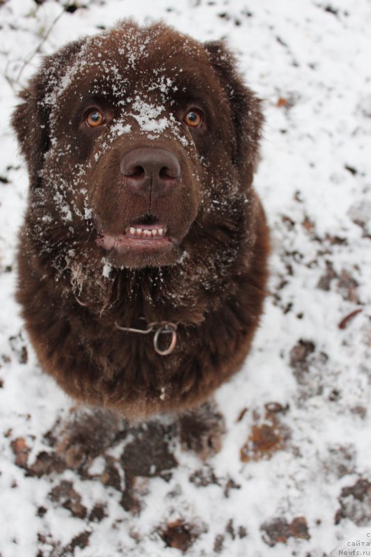 Фотография № 196381