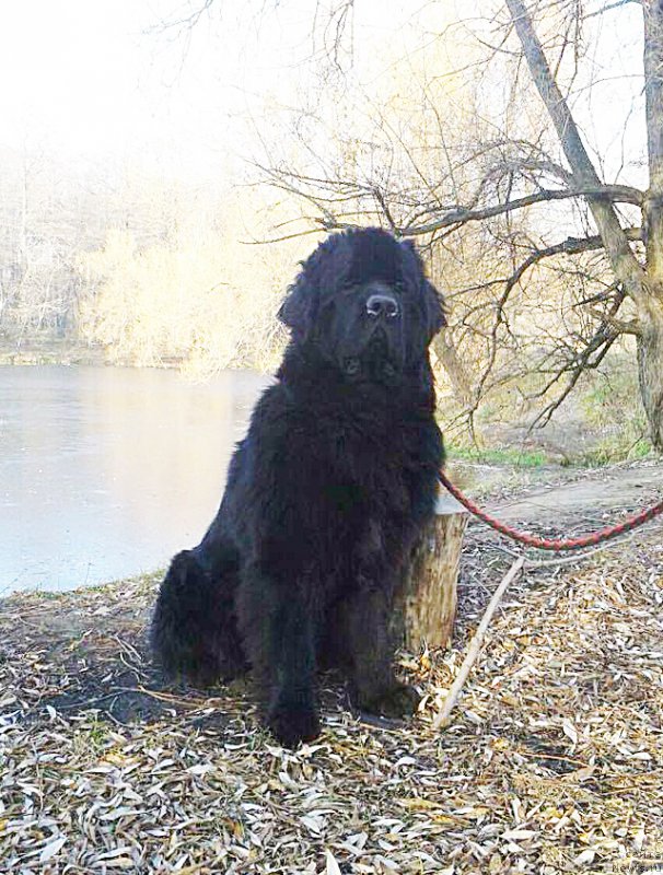 Фотография № 196382