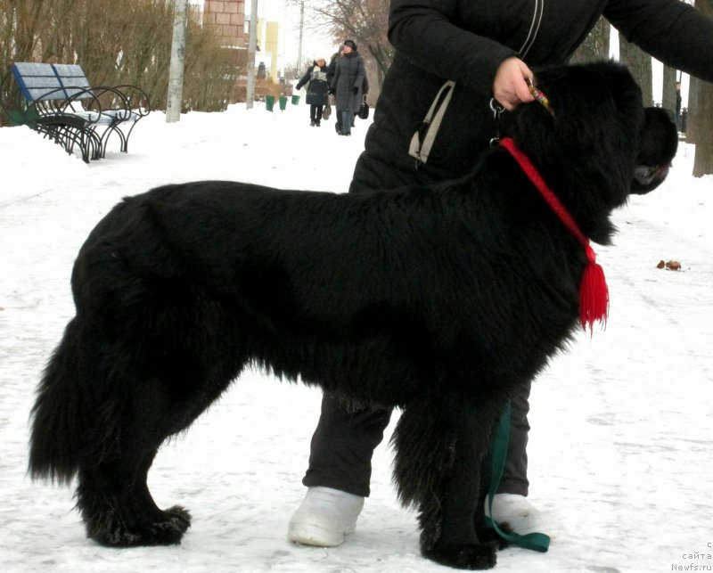 Фотография № 196402