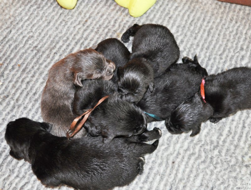 Фотография № 196415