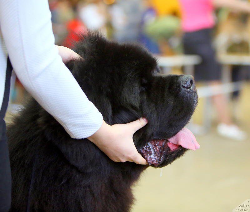 Фотография № 196425