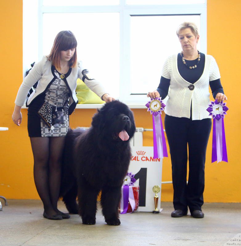 Фотография № 196427