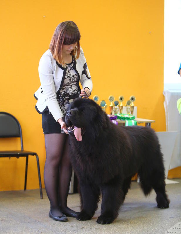 Фотография № 196428