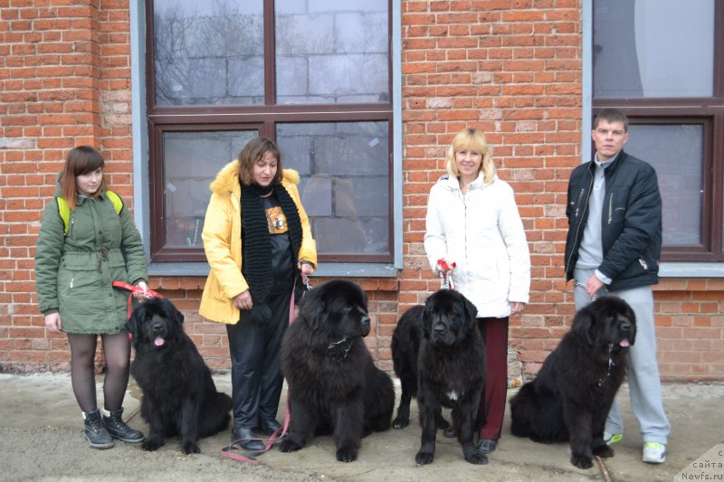 Фото: Лепесток Лилии, Матвей с Берега Дона, Даанич Восточная Ваниль