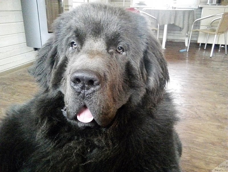 Фотография № 196482